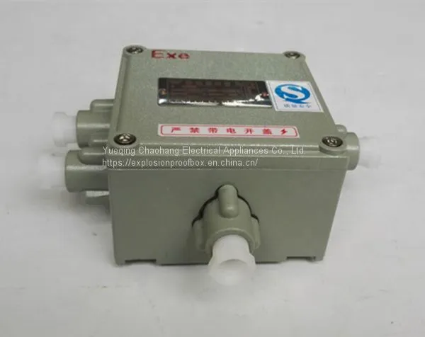 BXJ51 200 200 90 300 300 140 Zeng 'an Explosion-proof Junction Box Terminal Box Distribution Box photo-4