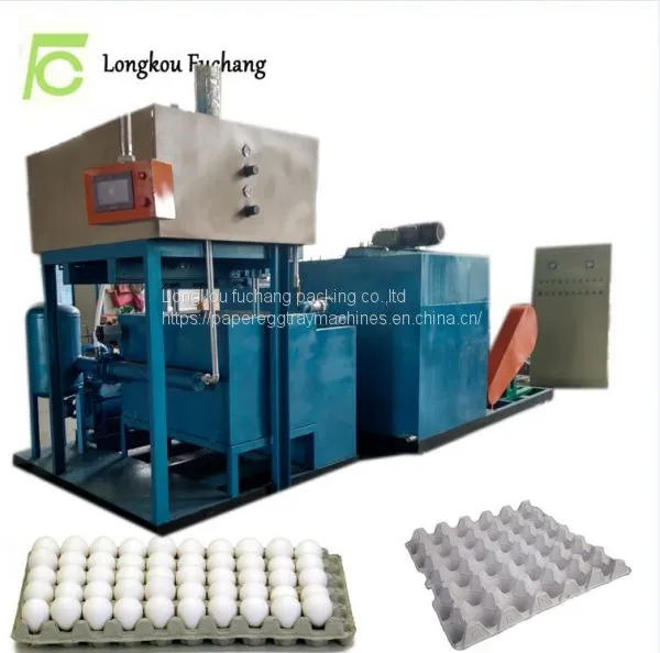 Eggs Cartons Making Machine Eggs Trays Machine Packaging for Quail Eggs Whatsapp:0086-15153504975 photo-4