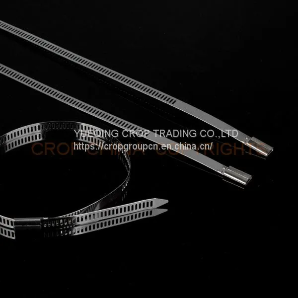 Adjustable SS304 Stainless Steel Strap / Band photo-2