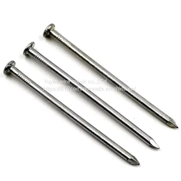 Q195 Polishing Common Nail From YuYao Factory photo-5