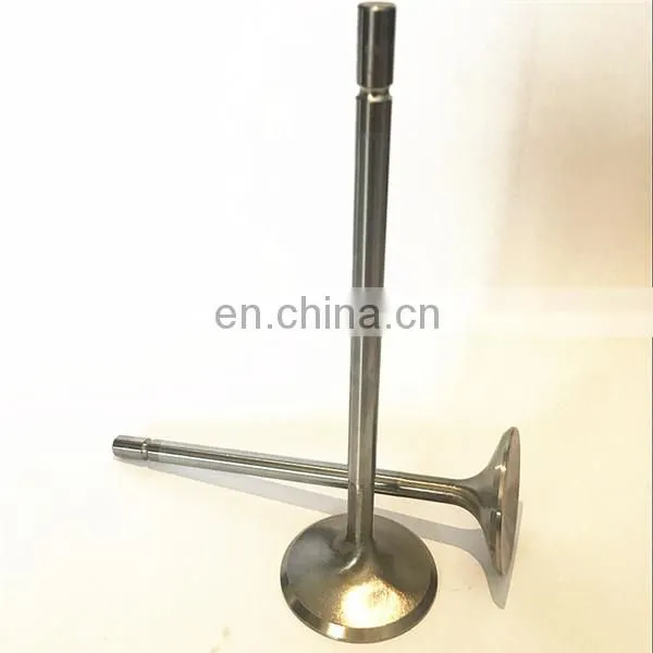 Engine Accessories Intake Valve Exhaust Valve for Mitsubishi 4dr5 4d56 4d30 4d32 6d14 4m40 photo-3