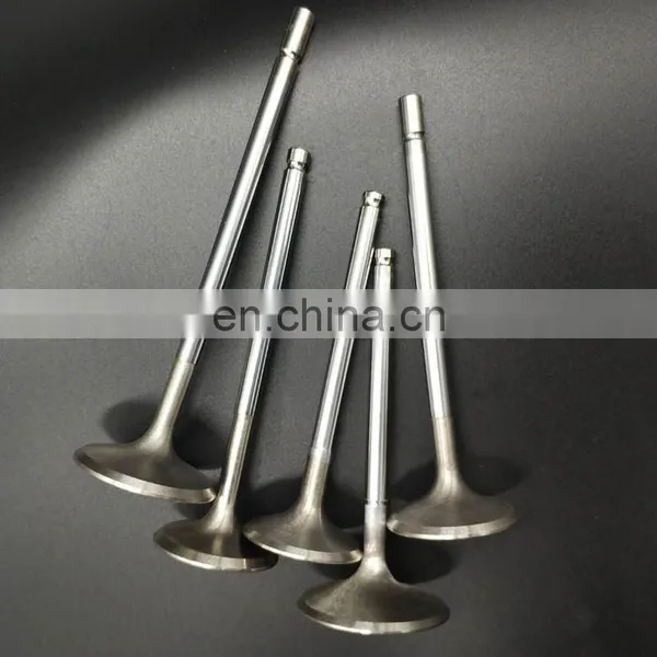 G4HD G4HG Motor Cheap Price Intake and Outlet Engine Valves For Hyundai Atos Prime MX 1.1 photo-2