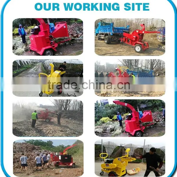 Wood Crusher for Sale Small Mobile Crusher Better Price photo-6