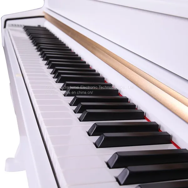 China Wholesale Keyboard Instrument Manufacturers Hammer Keyboard Digital Piano 88 Key Electric Piano photo-3