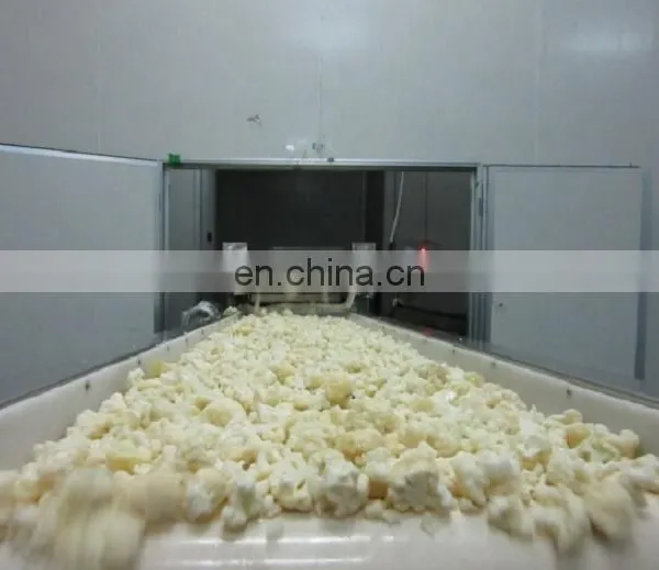 Sinochrm New Crop BRC Certified Non Worm Fresh IQF Cauliflower Frozen Cauliflower photo-5