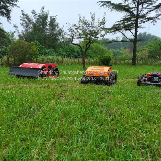 Steep Slope Mower China Manufacturer Factory Supplier Wholesaler photo-3