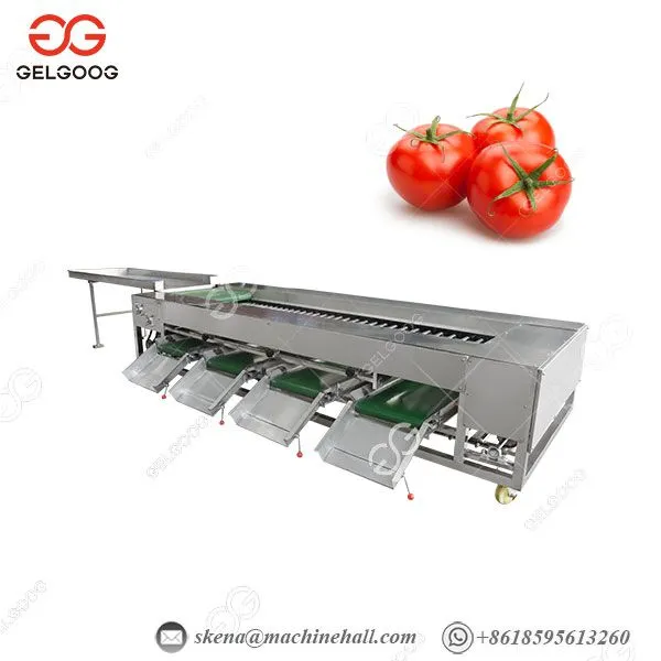 High Efficiency Small Capacity Blueberry Lychees Tomatoes Blueberries Date Palm Sorter Sorting Grading Machine