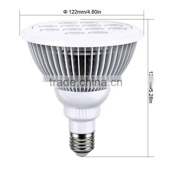 Ebay Best Sellers 12w Led Grow Lights/24 Watt Hps Grow Lights/E27 Grow Lights photo-2