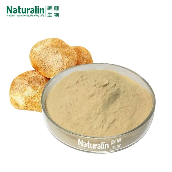 Lion's Mane Mushroom Extract