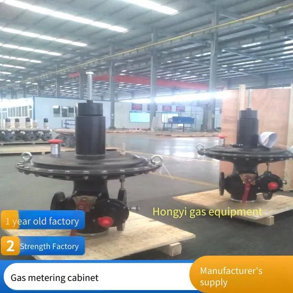 Hongyi Technology Single-metering Gas Pressure Regulating Cabinet, Natural Gas Pressure Regulating Box, Installation and Maintenance, Beautiful Appearance photo-3