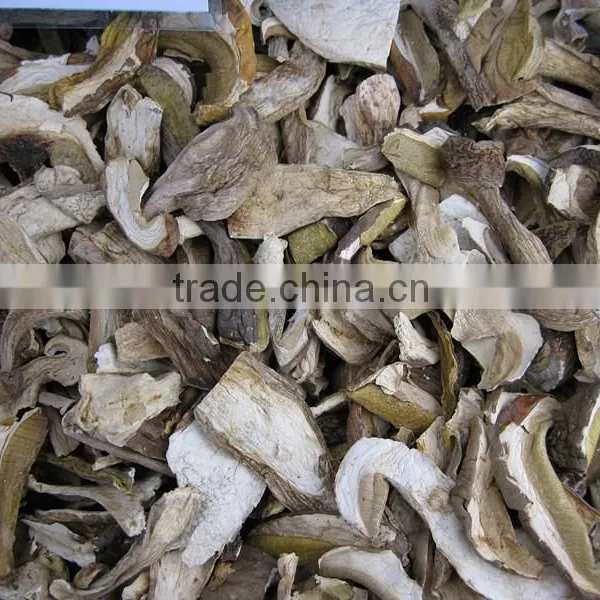 Wild Dried Boletus Mushroom Price From Yunnan photo-3