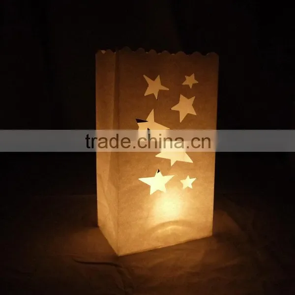 China Best Choice Cheap Price Luminary Candle Bags photo-5
