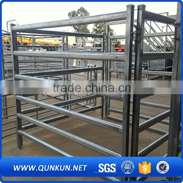 China Cheap Cattle Panels for Sale / Galvanized Cattle Fencing / Live Cattle Prices photo-4