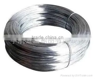 2015 Hot Sale High Quality Electro Galvanized Wire photo-2