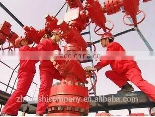 China Manufacturer Best Selling Thermal Recovery Wellhead photo-6