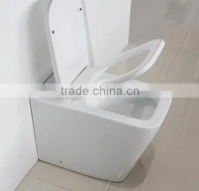 Watermark Australian Bathroom Ceramic Floor Toilet Bowl With Concealed Cistern 2051B photo-5