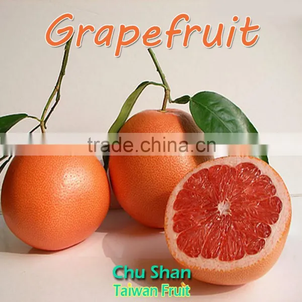 2016 Hot Sale Fresh Grapefruit