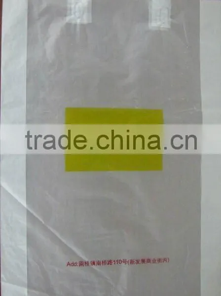 Fruit Bag