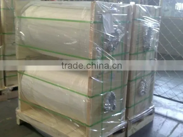 Polester Liner/Polyester Release Liners/PET Liner photo-6