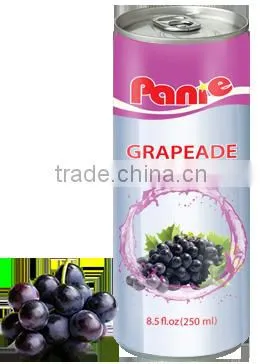 Panie the Best and Real Fruit Juice From Vietnam, Tropical Country photo-3