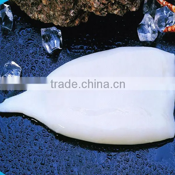 Frozen Seafood Squid Tube IQF( Todarodes)