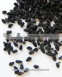 Pure Onion Seeds photo-6
