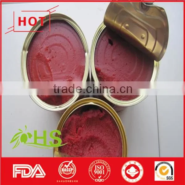 Canned Tomato Paste (70g-4500g) photo-3