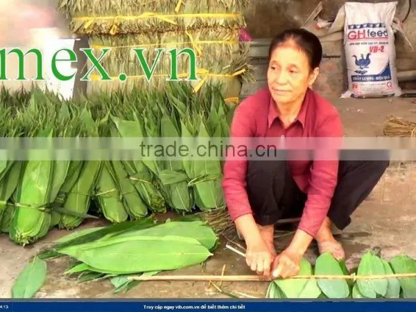 Bamboo Leaf Japan Market; Bamboo Leaves photo-3