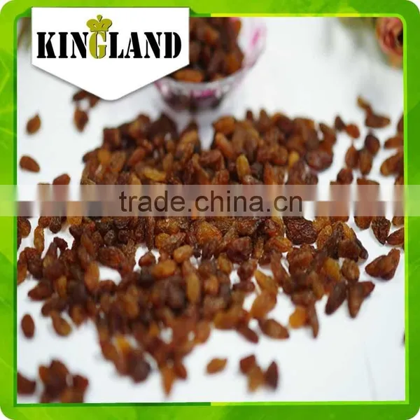 Seedless Sultana Mix Color Red Raisin photo-5