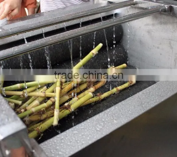 MSTP-80 Potato Carrot Vegetable Root Washing and Peeling Machine photo-4