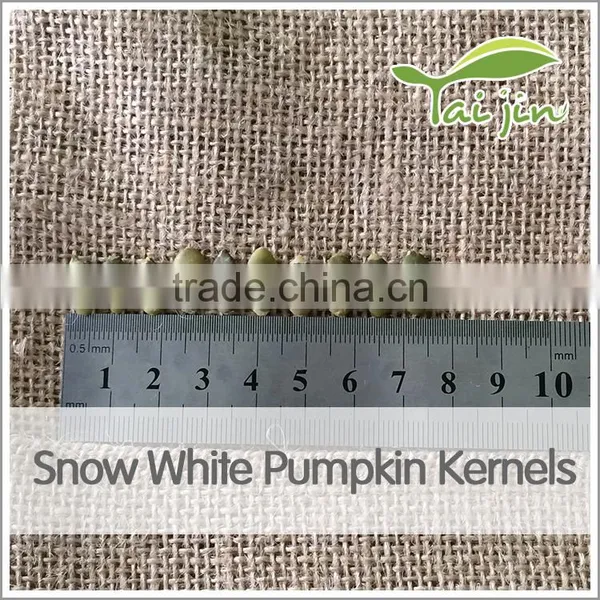 Top Quality Pumpkin Seeds Snow White photo-4