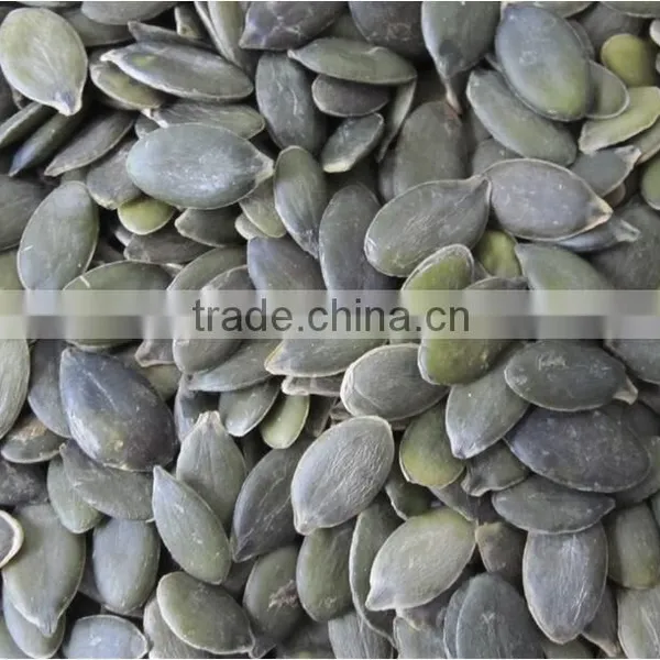 Inner Mogolia Pumpkin Kernels Grow Without Shell for US Market photo-2