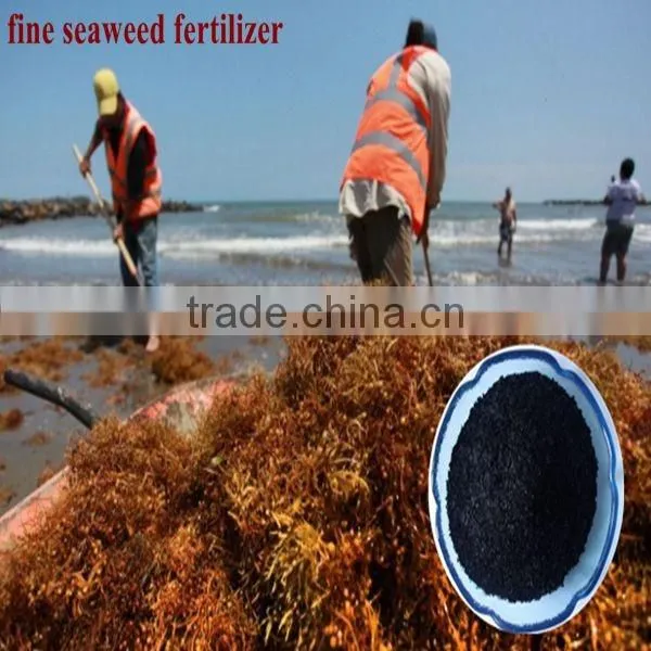 Factory Direct Supply Organic Seaweed Based Fertilizer With 100% Water Soluble