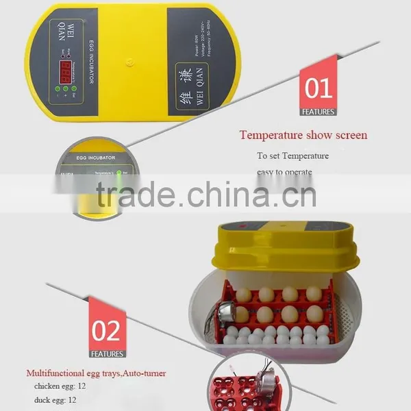 WQ-12 Best Selling Ten Years Multifunctional Automatic Poultry Incubator Machine Egg Incubator With Ability to Work With Battery