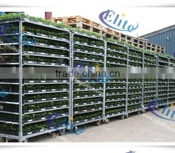 151 Seedling Cart Seedling Trolleys Seedling Rack photo-3