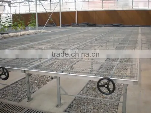 Factory Price PC Sheet Covered Agricultural Greenhouse For Vegetable Seeds photo-5