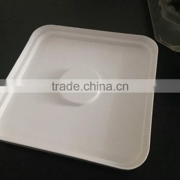 Plastic ABS Car Roof Cover/UV Restraint Cover photo-4
