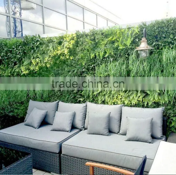Exterior Grade Green Walls Made With Buxus Sprays to Create a Simple Green Backdrop photo-3