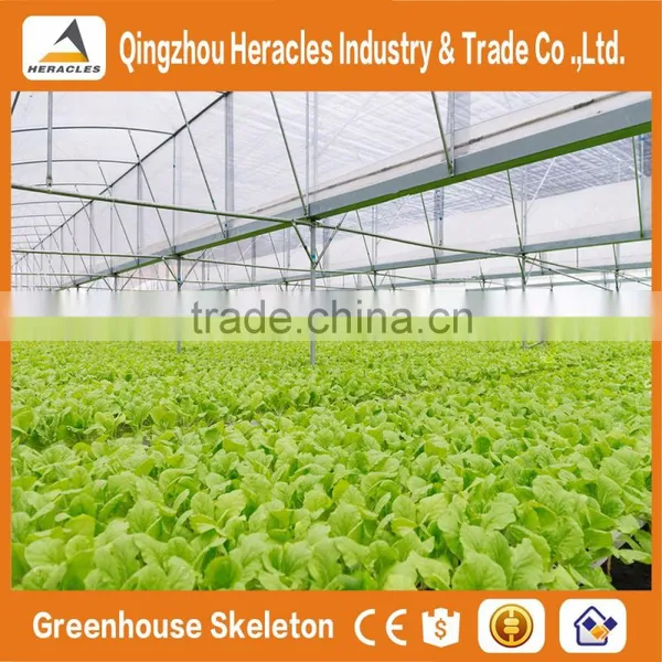 Heracles Trade Assurance Commercial Hydroponics Greenhouse photo-4