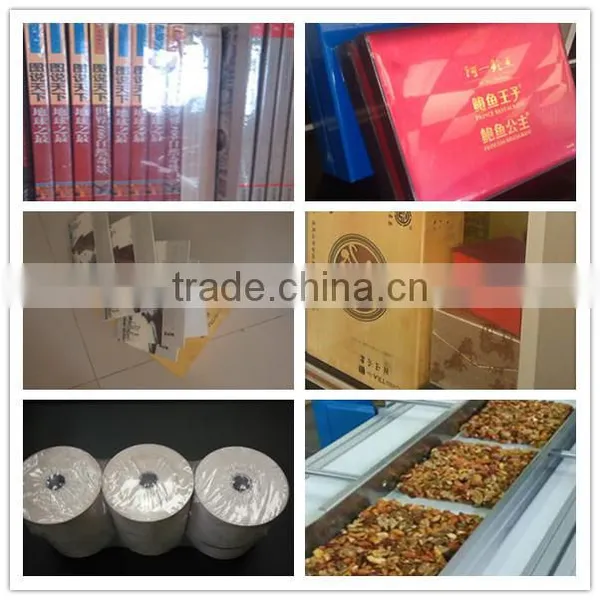 Economic China Side Sealer Shrink Packing Machine photo-6