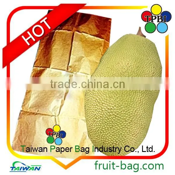 Fruit Protection Growing Bag Jackfruit photo-3