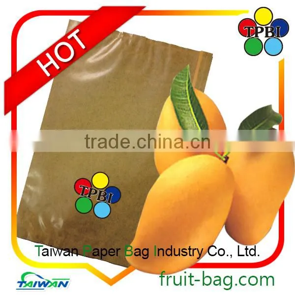 Vegetable Fruit Paper Bag Packing Mango Cover Manufacturer