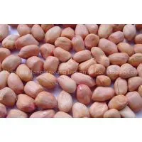 Peanut Without Shell