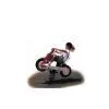 Spring Rider