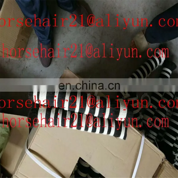 HORSE Tail Hair for Brush photo-3