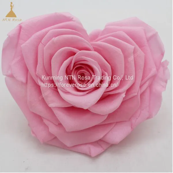 10cm Big Heart-Shape Preserved Rainbow Rose Flower photo-5