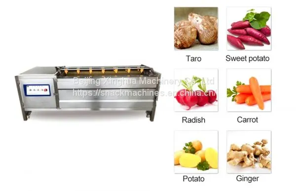 Working Principle Of Fruit And Vegetable Brush Washing Machine Manufacturing Process photo-2