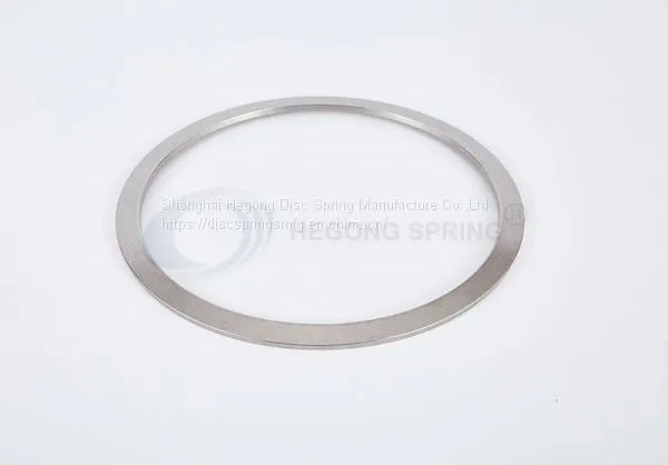 Disc Springs for Valves