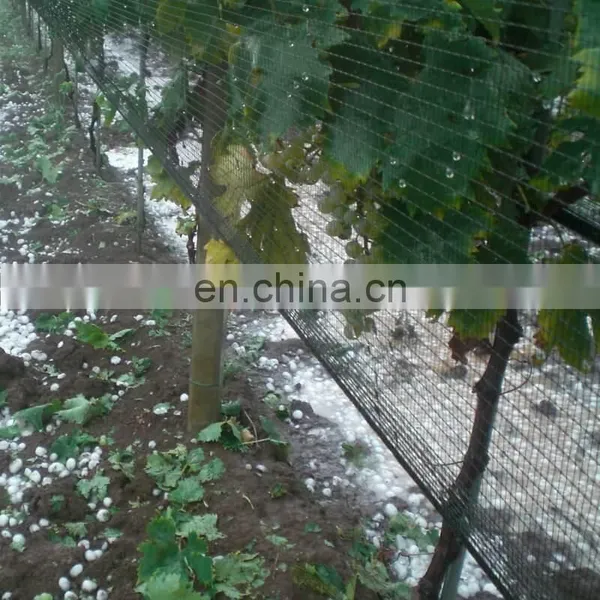 Wholesale Anti-hail Net For Orchards photo-4