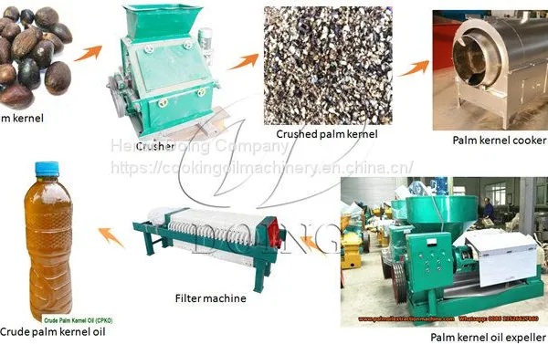 Good Feedback Palm Kernel Oil Making Machine Palm Kernel Oil Mill Plant Small Scale Palm Kernel Oil Crushing Machine photo-3